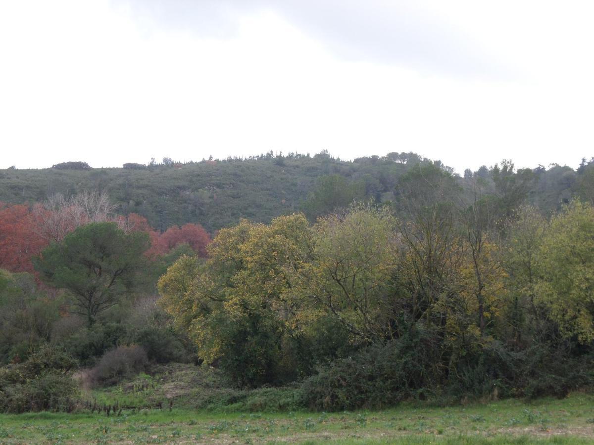 Appart'18 - Domaine De La Source * Uzès