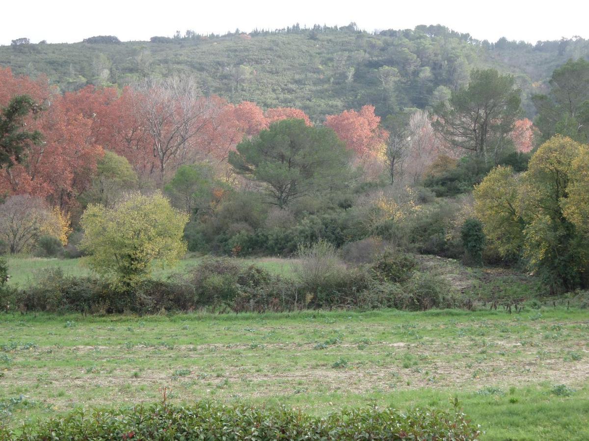 Appart'18 - Domaine De La Source Appartement
